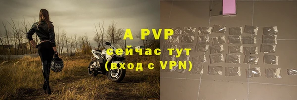 прущие грибы Володарск