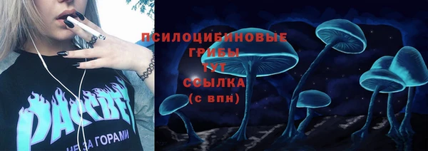 соль ск Волосово