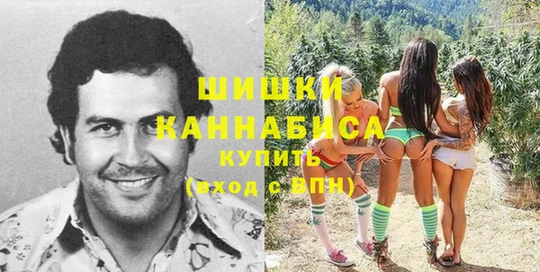 прущие грибы Володарск