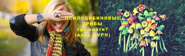 соль ск Волосово