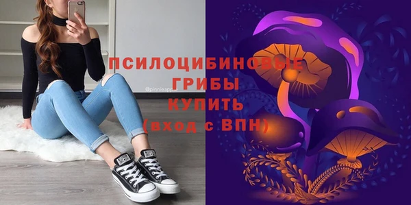 ECSTASY Волоколамск