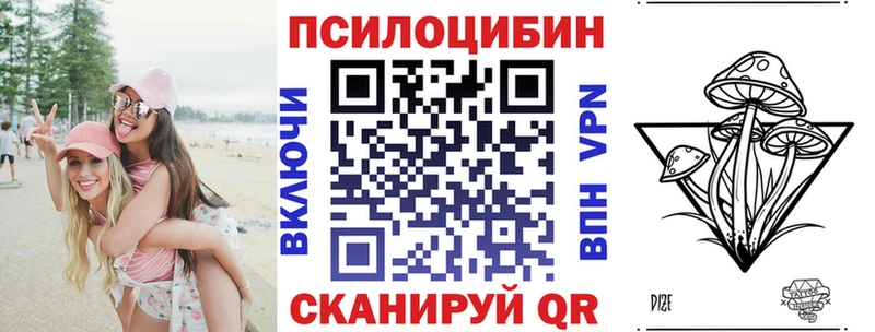 Псилоцибиновые грибы Psilocybe  Купить где  Малоярославец 